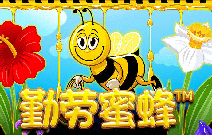 a8体育官网下载